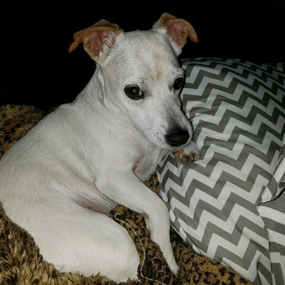 Meet your Posher, Christina